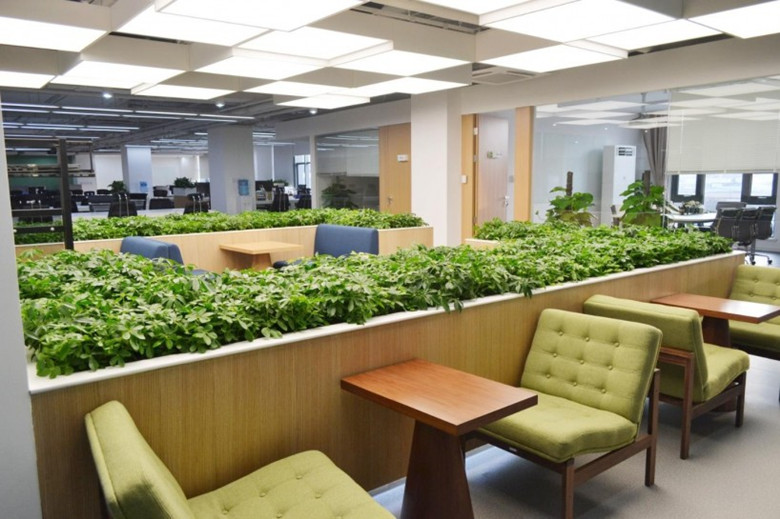 黃浦辦公設(shè)計裝修-綠色環(huán)?；ヂ?lián)網(wǎng)辦公室-第3張圖片-上海古都建筑設(shè)計集團