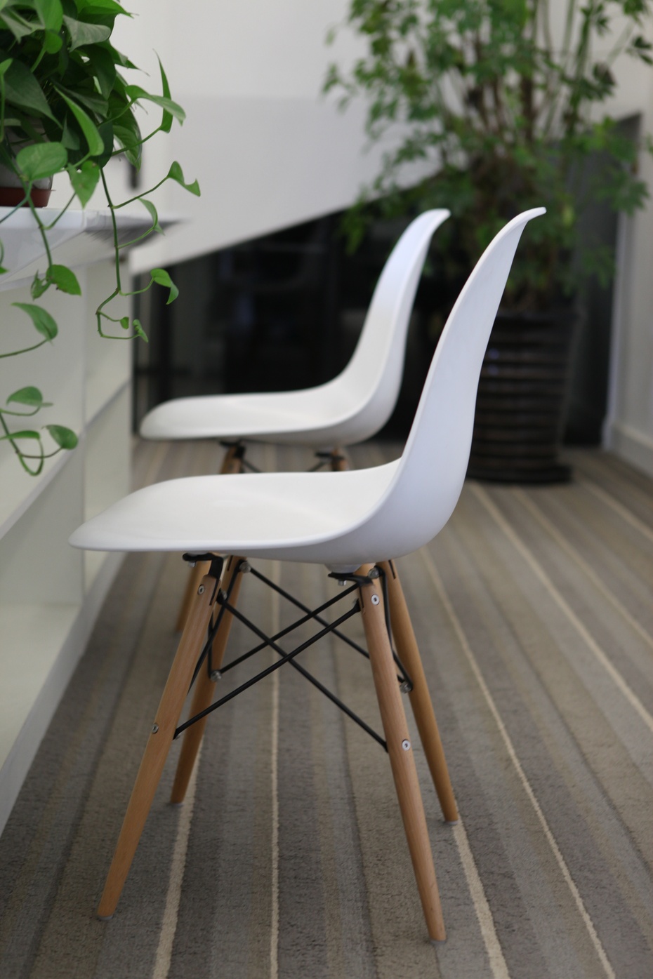 上海辦公室裝修公司綠植擺放設(shè)計-第6張圖片-上海古都建筑設(shè)計集團