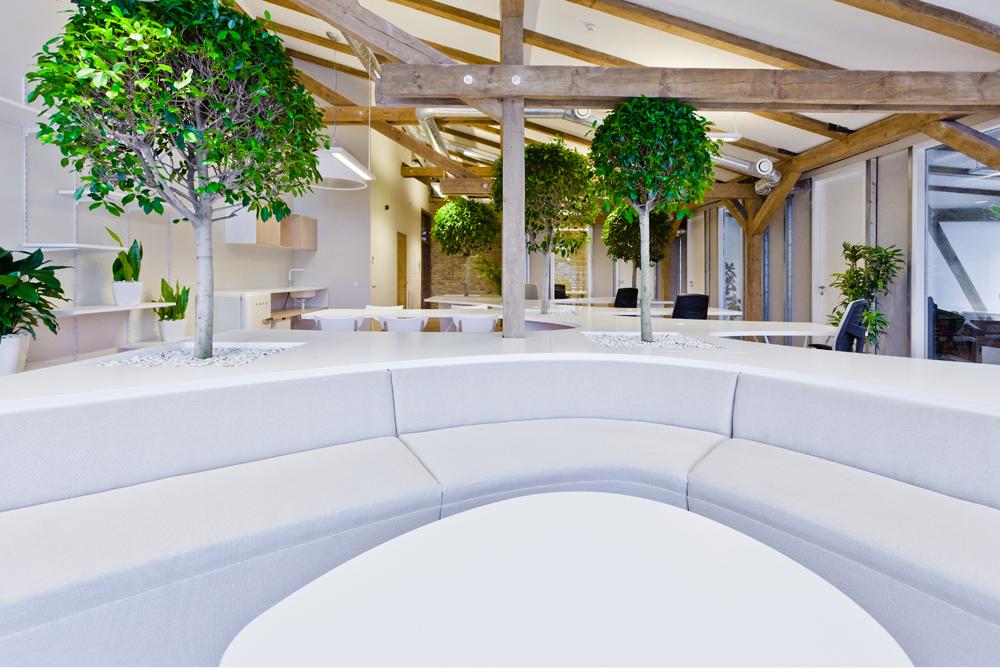 Greenhouse 辦公室裝修設(shè)計-第2張圖片-上海古都建筑設(shè)計集團 Greenhouse 辦公室裝修設(shè)計-第2張圖片-上海古都建筑設(shè)計集團