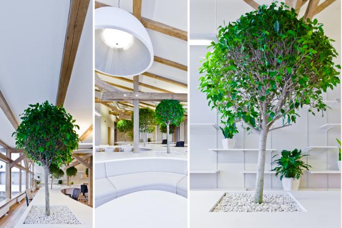 Greenhouse 辦公室裝修設(shè)計-第7張圖片-上海古都建筑設(shè)計集團 Greenhouse 辦公室裝修設(shè)計-第7張圖片-上海古都建筑設(shè)計集團