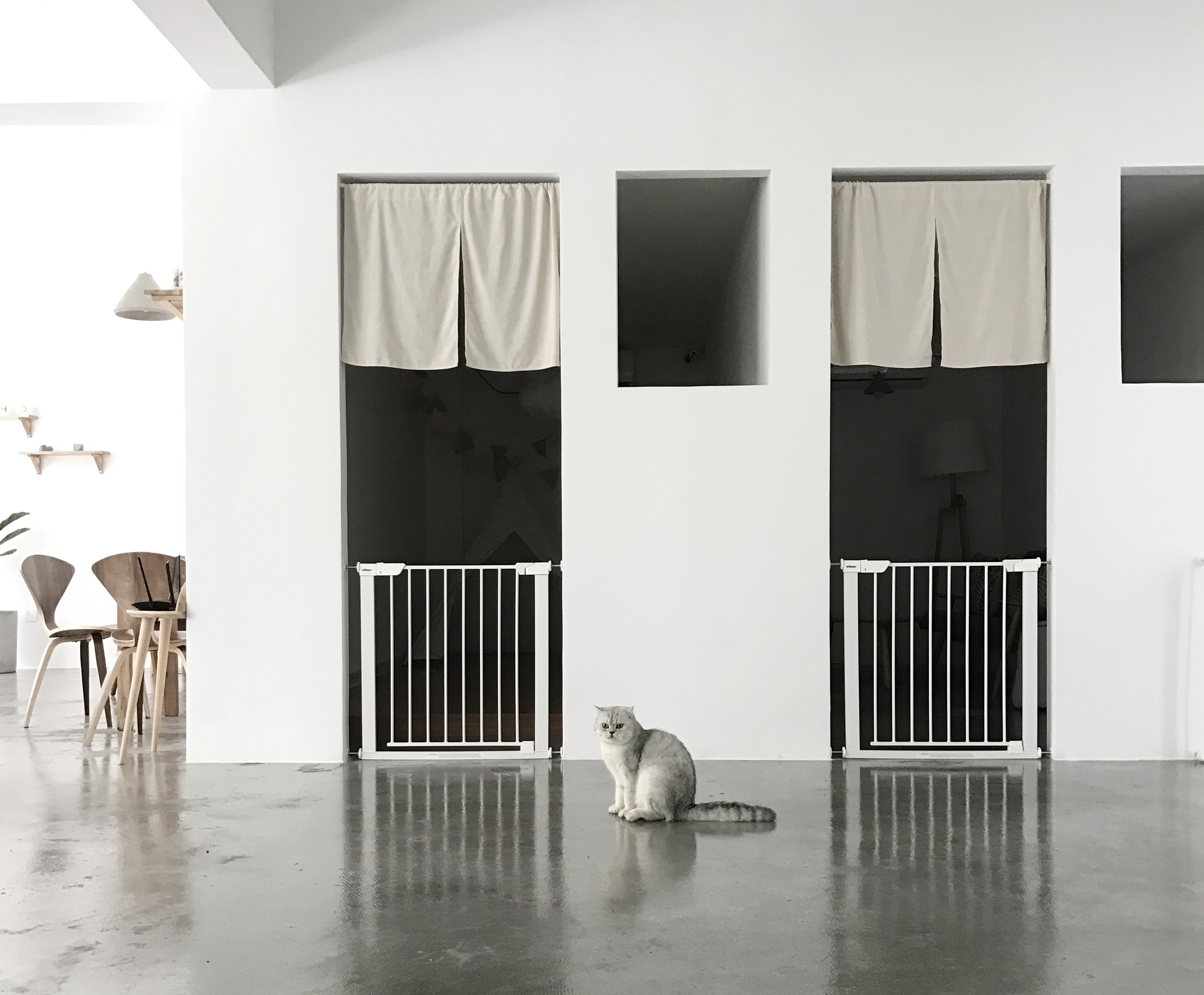 黃浦區(qū)簡約風(fēng)格貓咖廳裝修設(shè)計(jì)-第2張圖片-上海古都建筑設(shè)計(jì)集團(tuán)