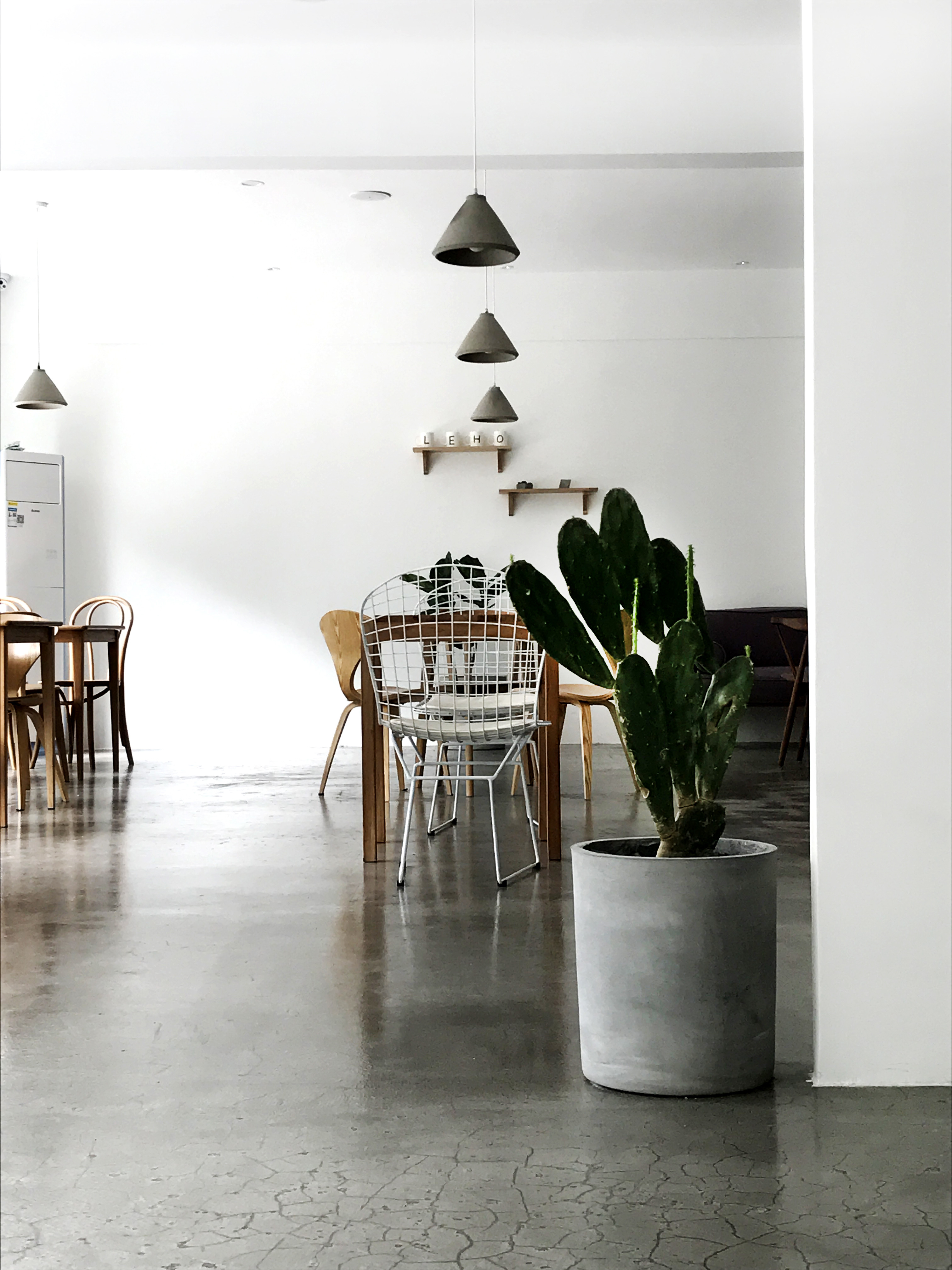 黃浦區(qū)簡約風(fēng)格貓咖廳裝修設(shè)計(jì)-第3張圖片-上海古都建筑設(shè)計(jì)集團(tuán)