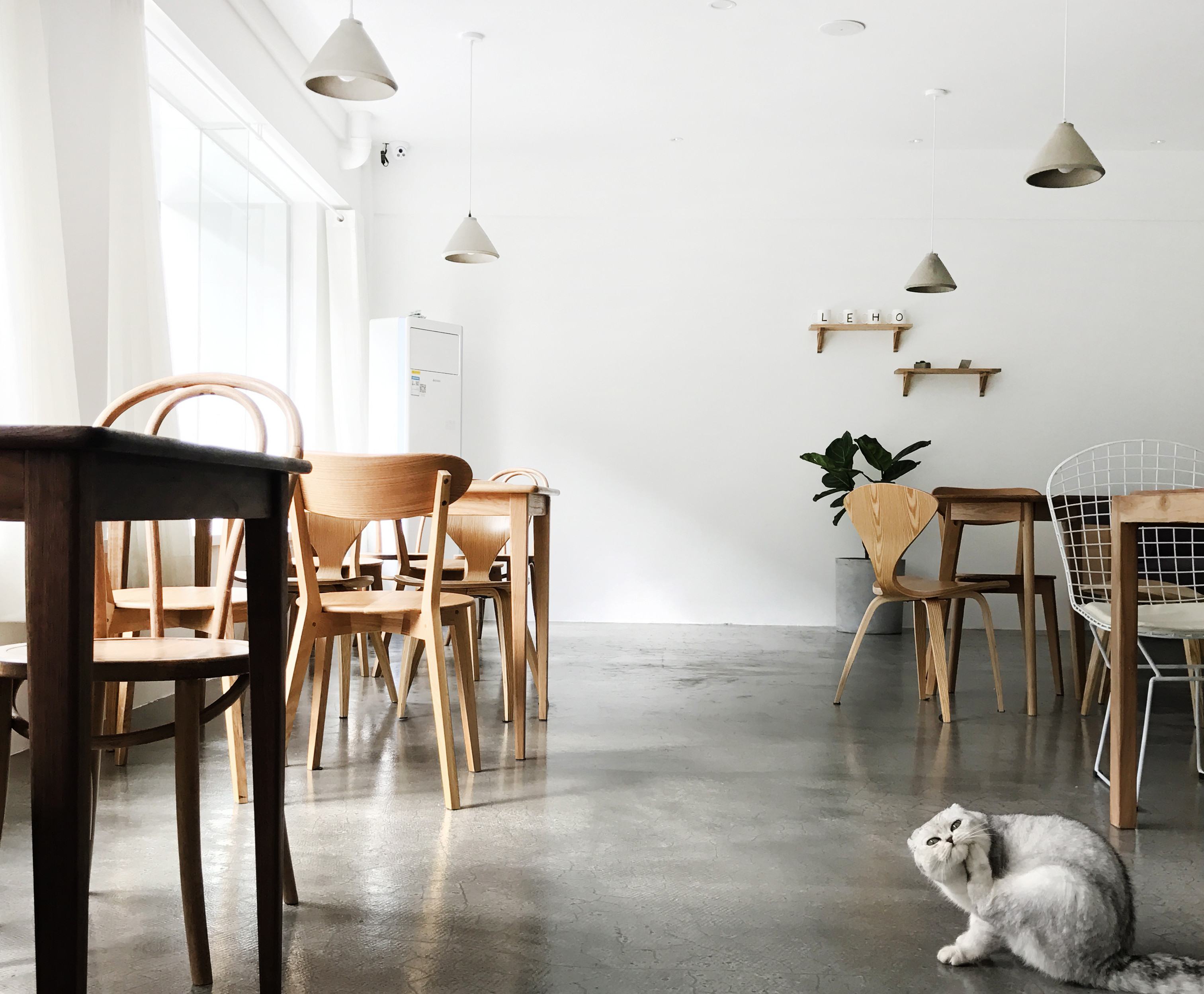 黃浦區(qū)簡約風(fēng)格貓咖廳裝修設(shè)計(jì)-第5張圖片-上海古都建筑設(shè)計(jì)集團(tuán)