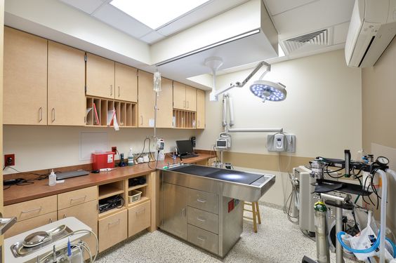 簡約寵物醫(yī)院裝修設(shè)計(jì)-第4張圖片-上海古都建筑設(shè)計(jì)集團(tuán)