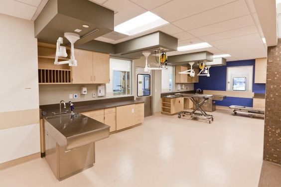 簡約寵物醫(yī)院裝修設(shè)計(jì)-第1張圖片-上海古都建筑設(shè)計(jì)集團(tuán)