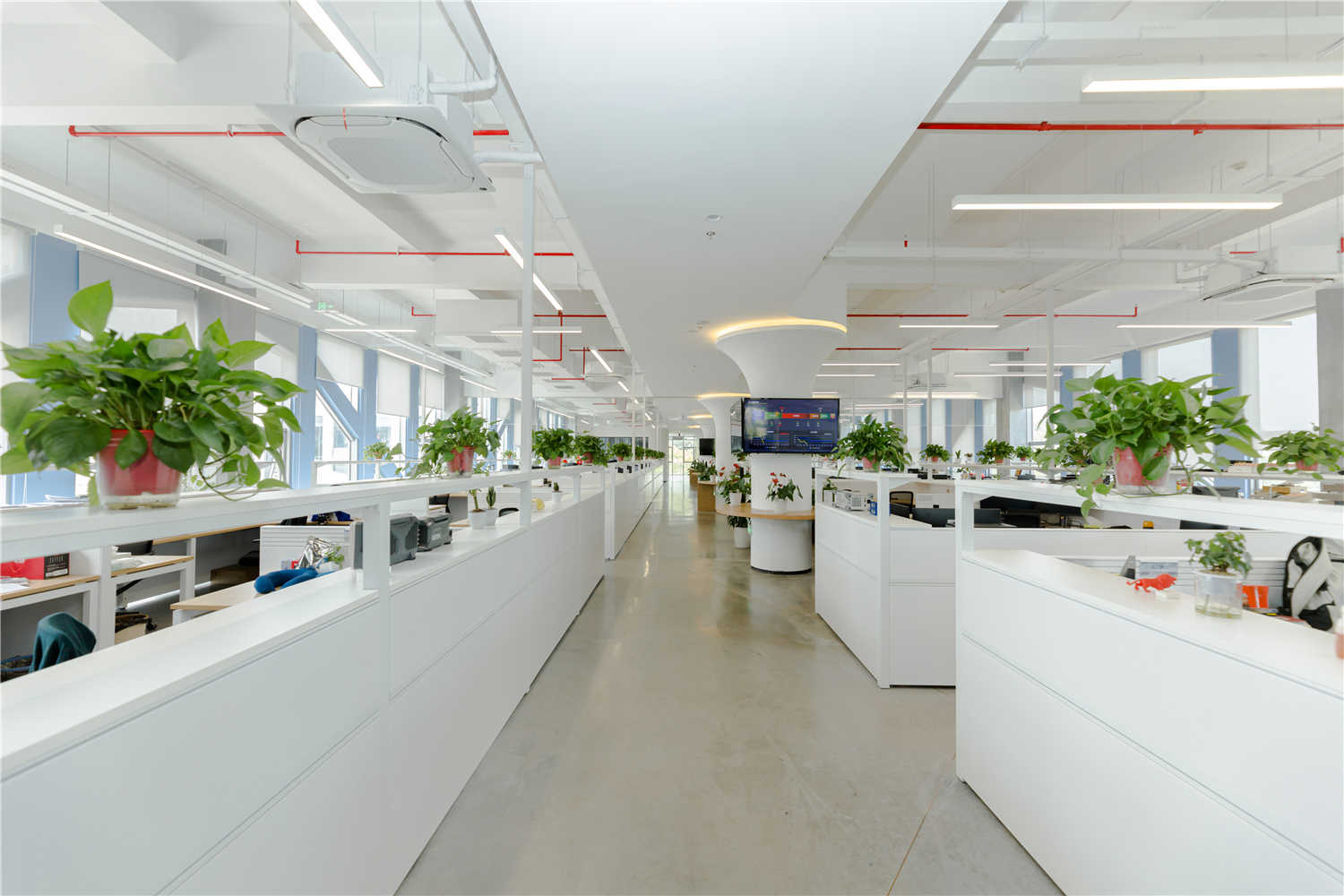 能源信息科技公司辦公室裝修設(shè)計-第6張圖片-上海古都建筑設(shè)計集團(tuán)